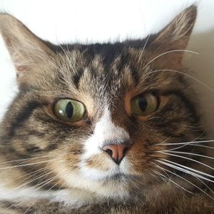 Meet your Posher, Vanessa